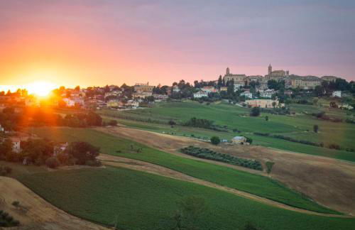 Tenuta San Marcello - Foto 55