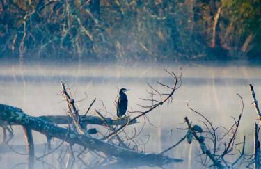 Appart Cosy Green, Océan, Golf, Piscine, Wifi - Foto 55
