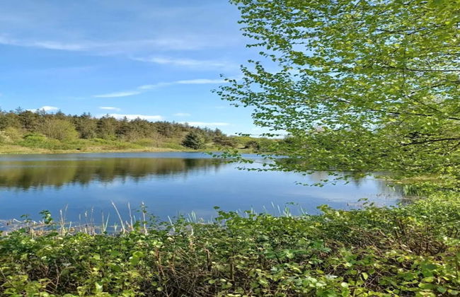 4 Person Holiday Home in Toftlund - Foto 26