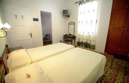 Plumeria Flowery - Foto 9