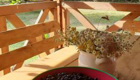 Pasieka Dobro i Smak - Foto 5, Garden view