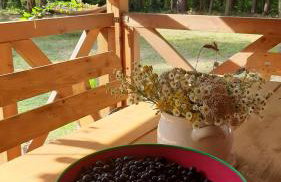 Pasieka Dobro i Smak - Foto 5