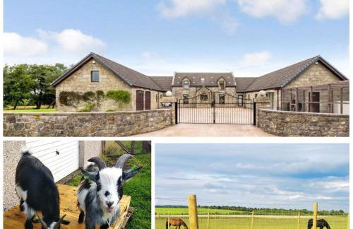 Cottage with Panoramic Views - Photo 1