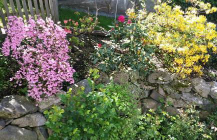 Apartment Regina - Photo 12