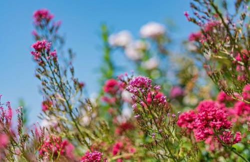 11 Bed in Instow REDLA - Foto 62