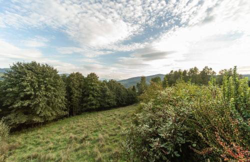 Domek Widok - Foto 3