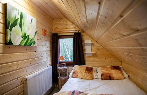 Domek całoroczny SÓWKA na Kaszubach z banią i sauną na wyłączność, wspólny basen i bilard z domkiem Jeleniówka - Ostrowite Leśna Dolina - Foto 65