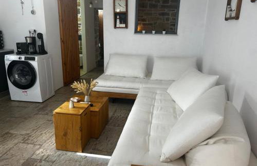 Petrino Minimal - Foto 21