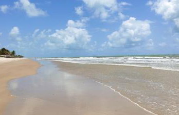 Chalé Amarelo - Mansão Ponta da Asa - Foto 23
