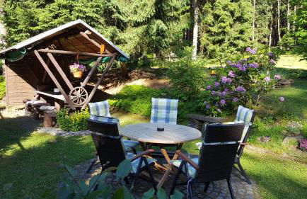 Thüringer Waldbaude - Foto 12