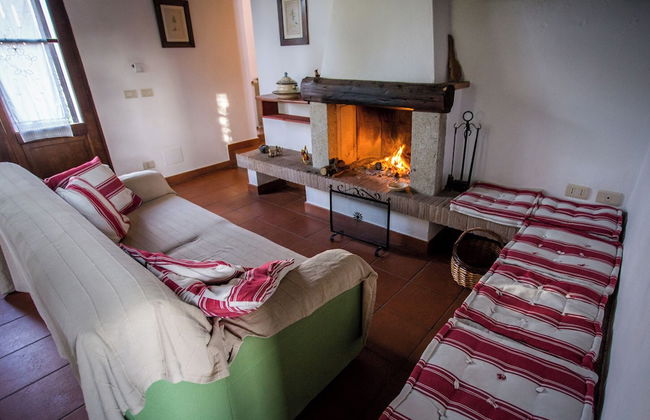 Bio Tenuta di Paganico - I Roggeti - Foto 53