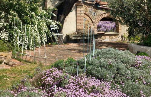 Agriturismo Timignano - Foto 8