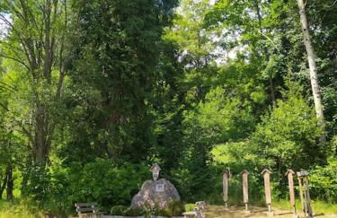 Apratmán Julie – Bavorská Ruda - Foto 37