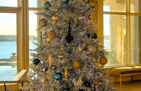 Lakeside Grande Villa - Foto 7