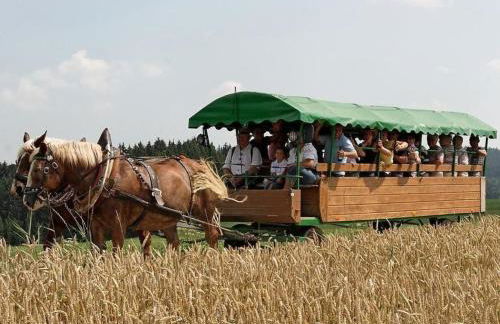 Holiday Home in Röhrnbach mit Grill und Terrasse by Interhome - Foto 26