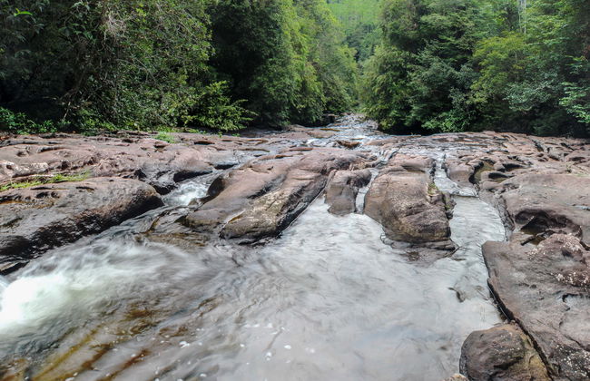 Rápel en Kitulgala - Foto 1