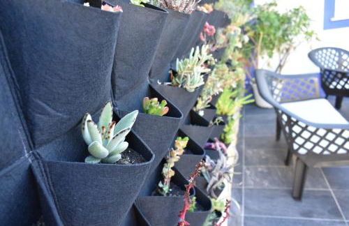 Bella's House 4 com Piscina - Foto 24