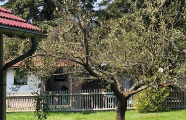 Casa „Ella“ - Photo 21