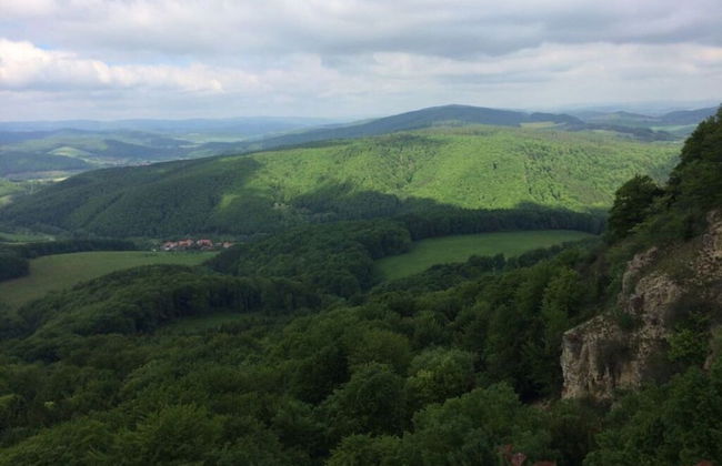 Am Rosengarten Comfortable Holiday Residence - Foto 26