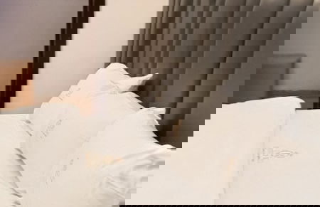 HOTEL D RITZ - Foto 7