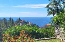 Seaview house, close Cannes, pool, garden. garage - Foto 1