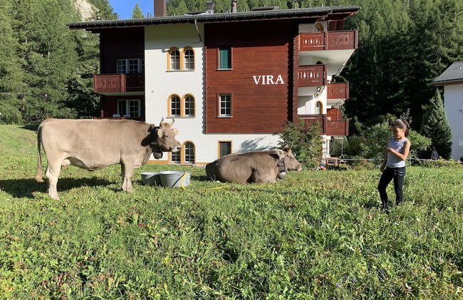 Haus Vira - Photo 55