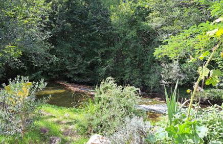 Le chant de la rivière - Foto 22