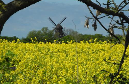 Zur Mühle Lemkenhafen auf Fehmarn - Foto 29