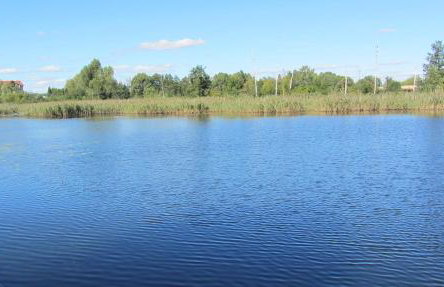 Grand Apartament nad Iławką - Foto 17