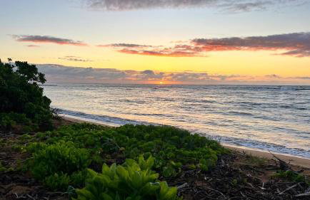 Pau Hana Kauai at Waipouli Beach Resort - Photo 64
