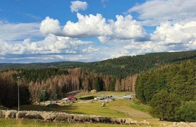 Engenstein Woodland Escape - Foto 31