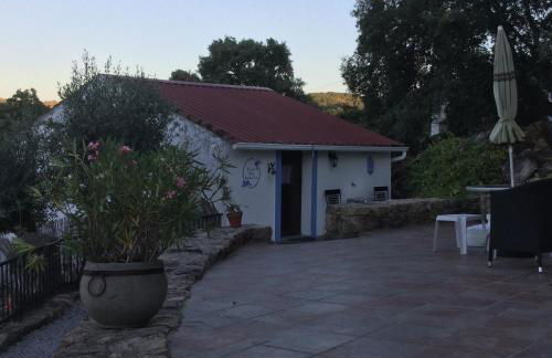 Flor da Ramila - Foto 1