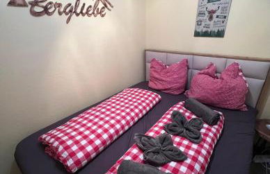 Apartment Schwarzwald-Anni Pool Tennis Sauna - Foto 13