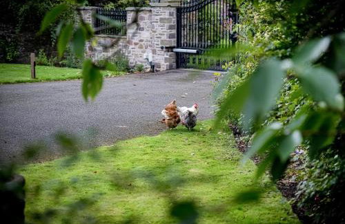 The Courtyard Apartment - Ukc6965 - Foto 12