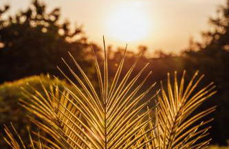 Wellnessparadies mit Sauna und Whirlpool - Foto 65