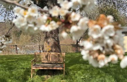 EifelChalet Niederehe - Foto 9