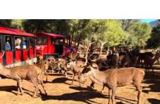 Apartamentos Sevilla - Foto 71