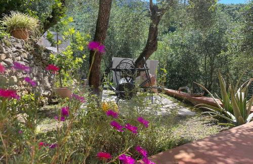 Casa Marina - Photo 1