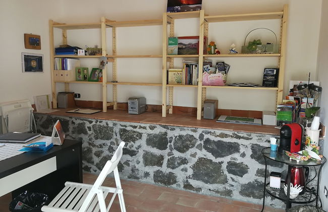 Viola nel Parco - Foto 2