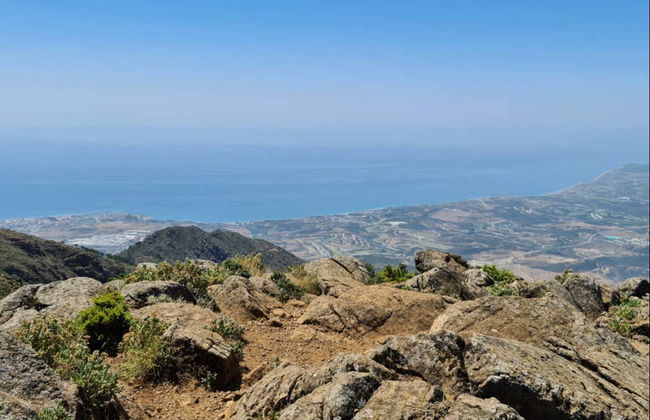 Randonnée dans la forêt de pins d'Estepona - Photo 3