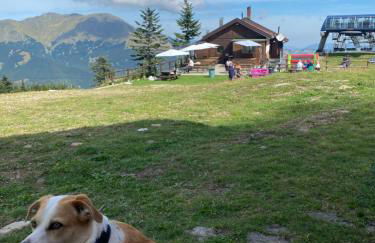 Appartamento Belfiore - Foto 12