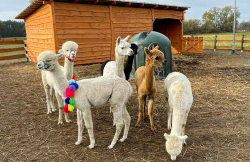 Zagroda Zabłocie Domki - Photo 4