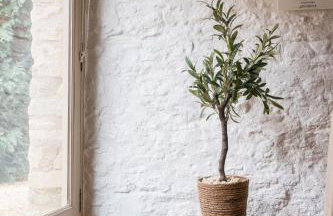 Snug Cotswolds Farm Cottage - The Henloft - Foto 44