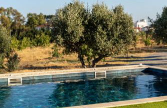 Alfarrobeiras NATURE - Photo 12