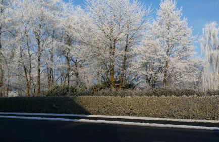 Ferienwohnung am Sandwater - Foto 13