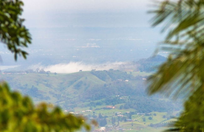 Mt Glorious Getaways - Foto 49