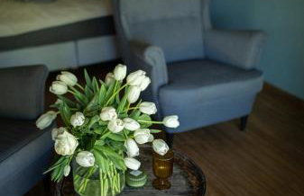 Lubia Apartments baltic sea, garden ,parking ,dog firendly, in Lubiatowo - Foto 9