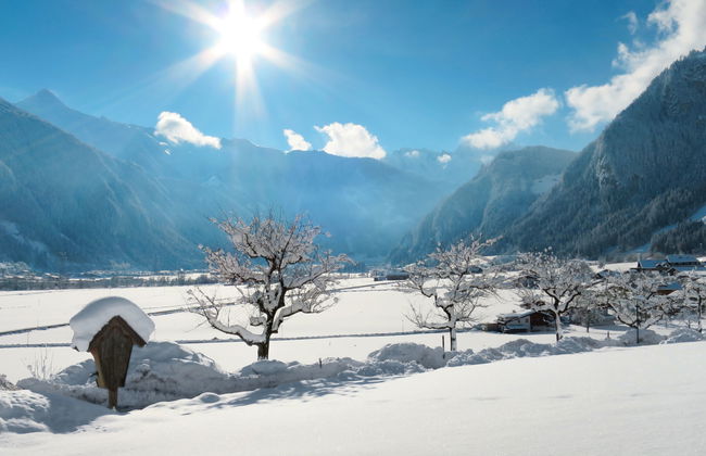 Bauernhaus Schusterhäusl - Photo 33
