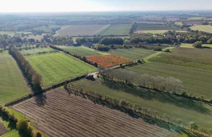 'Bramley' Hut on private farm - Foto 2
