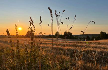 W Kręgu Natury - Foto 40